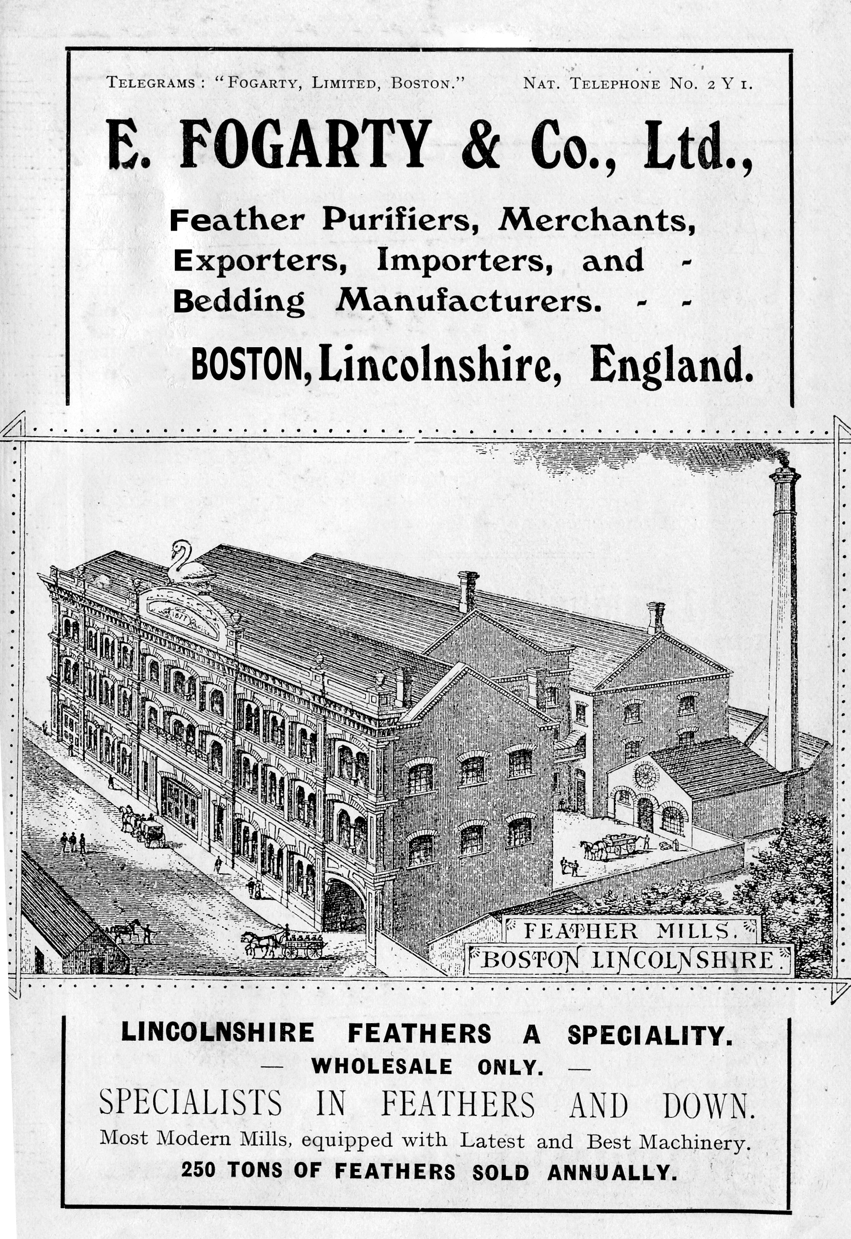 Fogarty & Co 1905