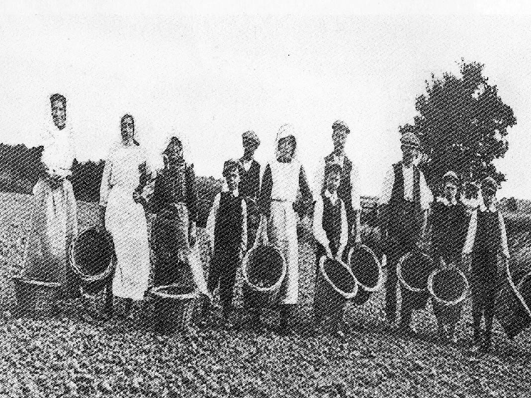 A black and white photograph of men, women and children Potoato Picking in 1914. The carry woven baskets filled with potatoes. They are stood in a line, facing the camera