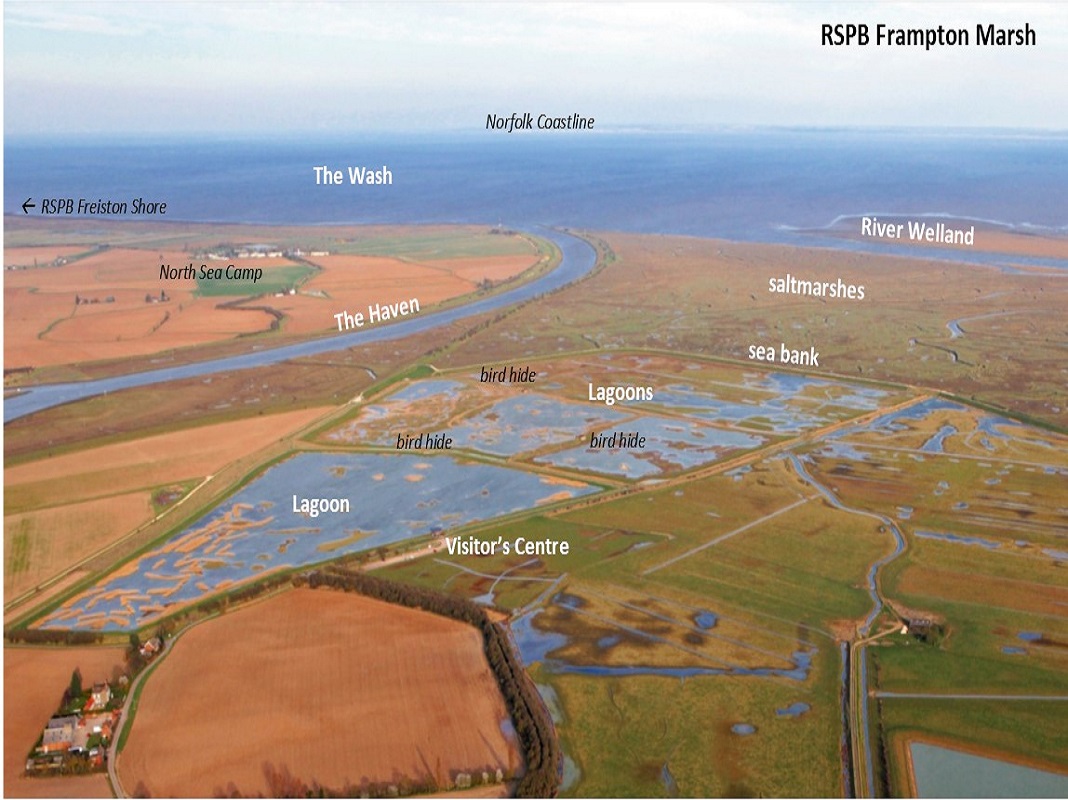 An overhead photo of Frampton Marsh,. It is edited with text showing significant features of the landscape. These include the Norfolk coastline in the distance, lagoons throughout the area, the visitor centre in the foreground and the saltmarshes leading out into the Wash.